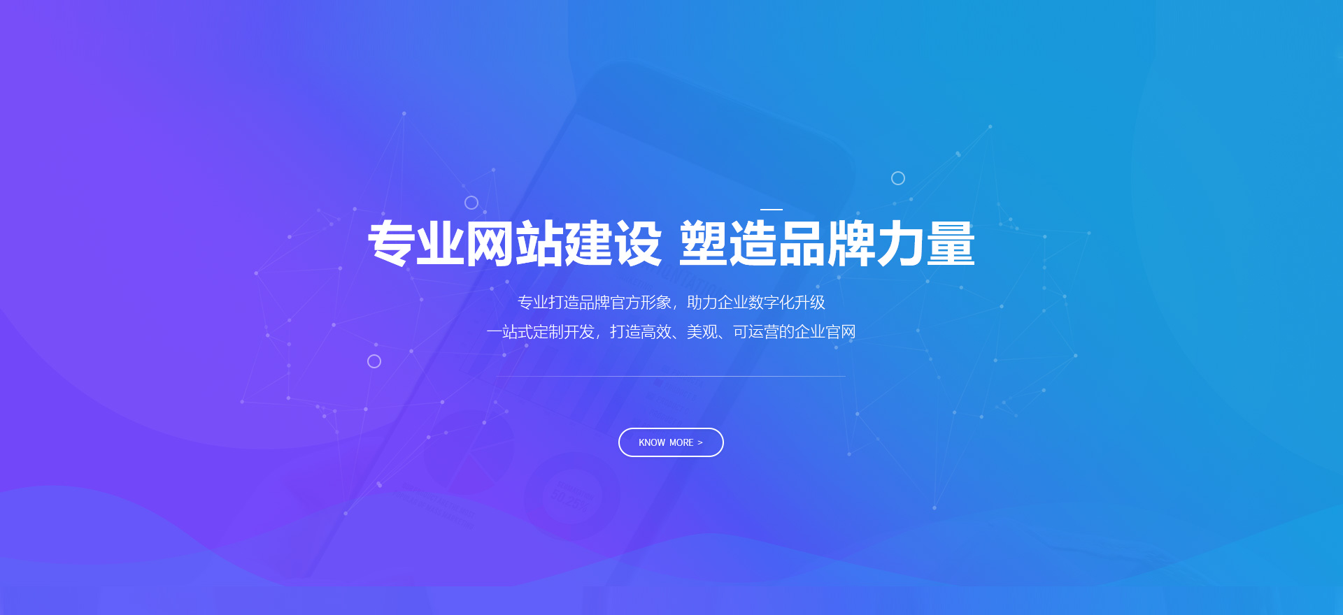 海口建站-专业网站建设 塑造品牌力量