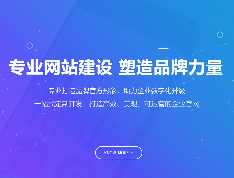 海口建站-专业网站建设 塑造品牌力量
